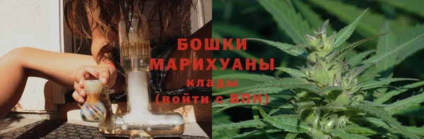 дживик Аркадак