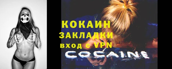 дживик Аркадак
