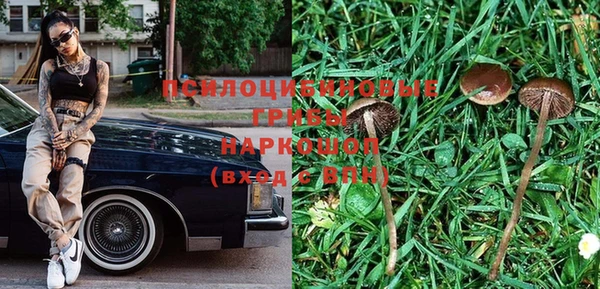 дживик Аркадак