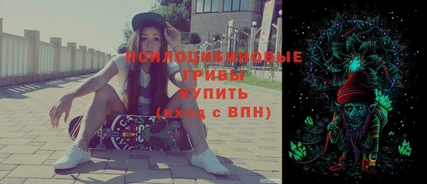 герыч Арсеньев