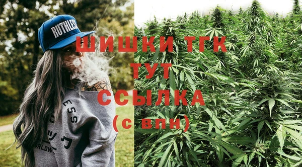 дживик Аркадак
