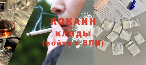 дживик Аркадак