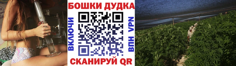 Бошки марихуана Amnesia kraken как зайти Осинники